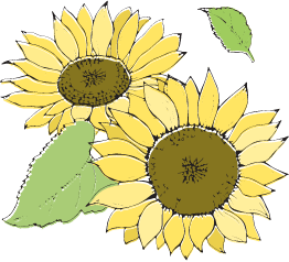 夏の花