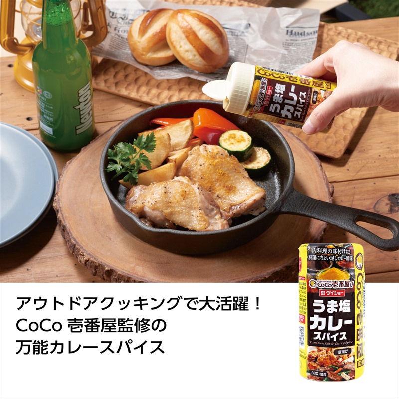 ダイショー CoCo壱番屋 うま塩 カレースパイス 三個 - その他