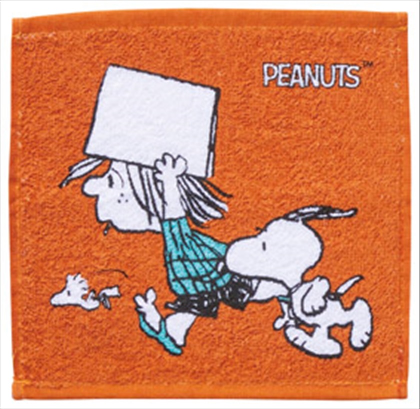 SNOOPY - ⭐️限定⭐️スヌーピー＆ライナスセット♪ノベルティタオル付⭐️ SNOOPY - ⭐️限定⭐️スヌーピー＆ライナスセット♪ノベルティ