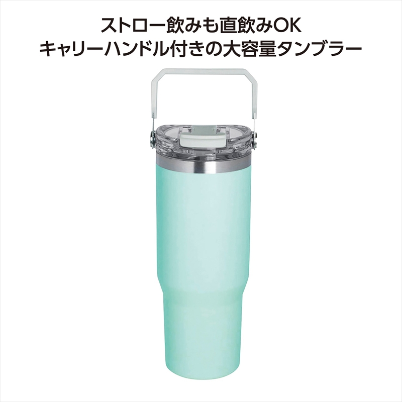ｽﾄﾛｰ付2WAYﾀﾝﾌﾞﾗｰ900ml　ｸﾞﾘｰﾝ