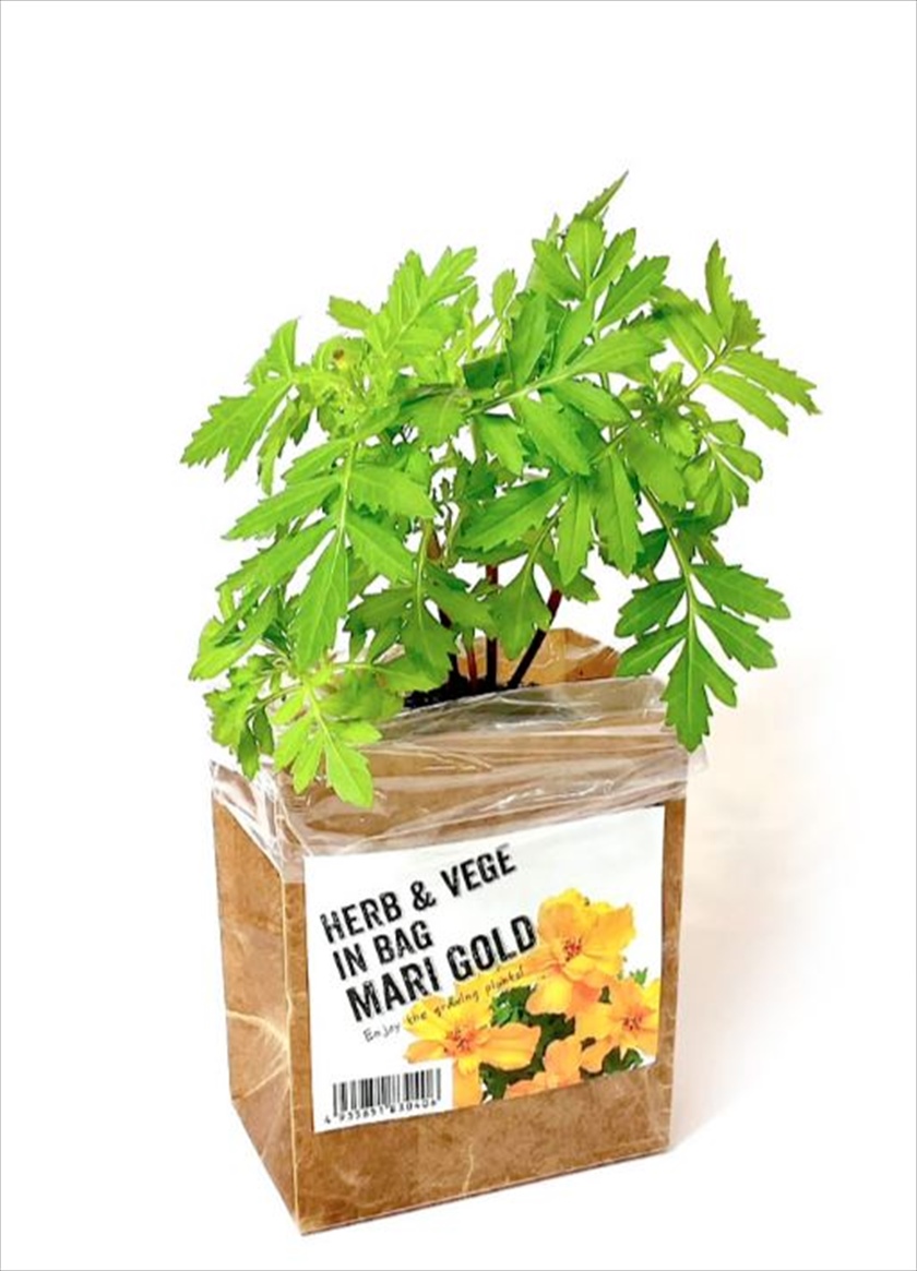 ハーブ＆ベジ　インバッグ