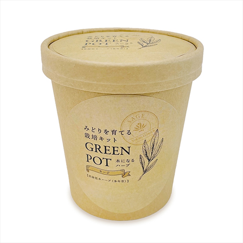 GREEN POT クラフトver.（みどりを育てる栽培キット）
