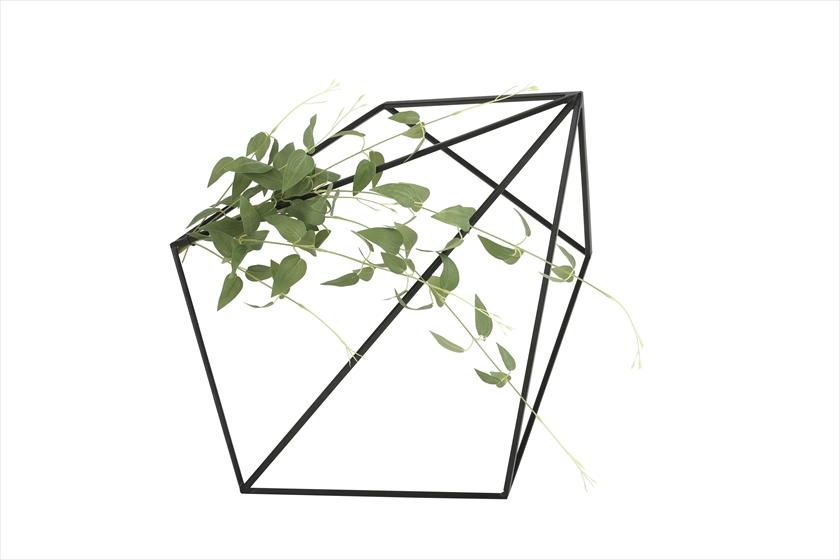 壁面緑化ﾘｷｭｳｿｳ ※人工植物です。生花ではございません。