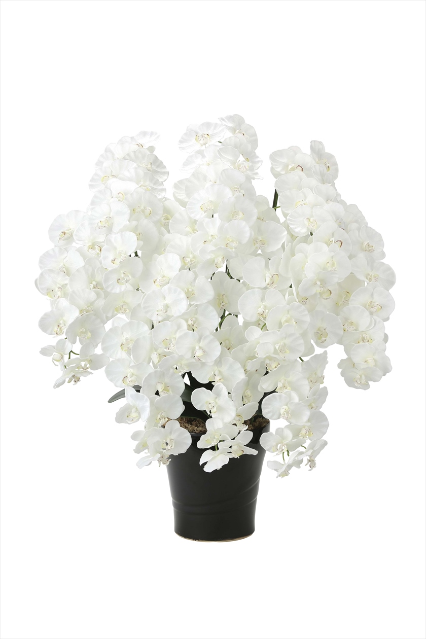 ﾌﾟﾚﾐｱﾑ胡蝶蘭10本立W ※人工植物です。生花ではございません。