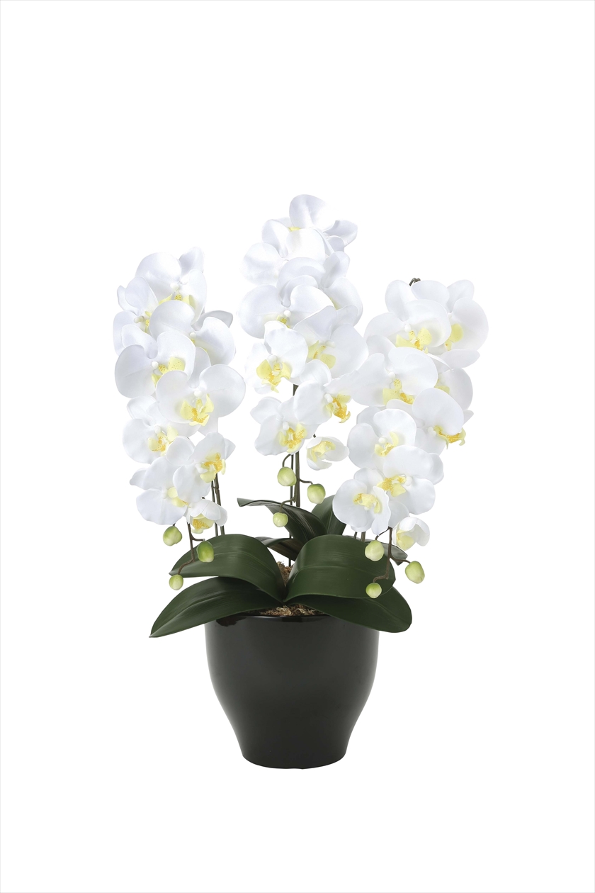 胡蝶蘭ｾﾘ-ｽW ※人工植物です。生花ではございません。