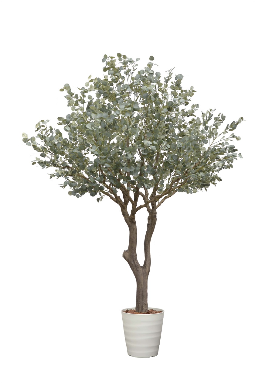 ユ―カリ3.2（組立式） ※人工植物です。生花ではございません。