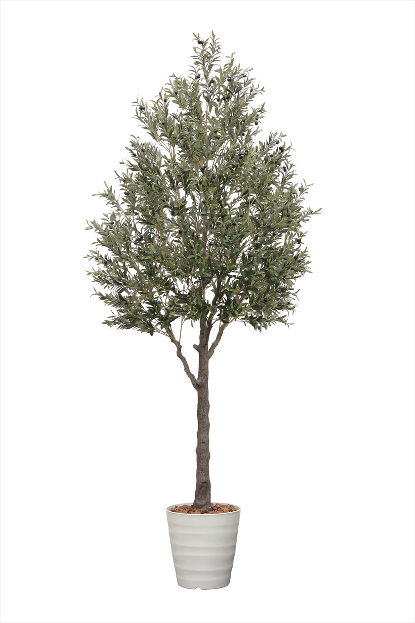 オリーブ3.2（組立式） ※人工植物です。生花ではございません。