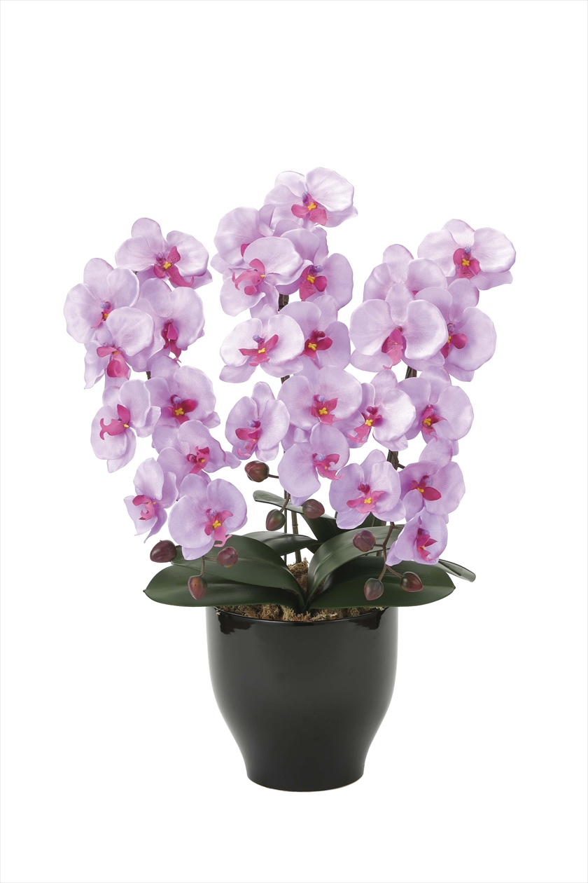 胡蝶蘭ｾﾘ-ｽL ※人工植物です。生花ではございません。