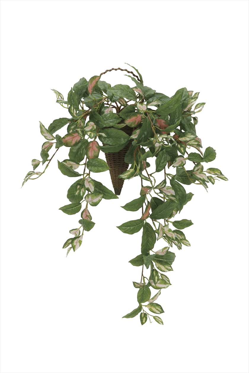 壁掛けﾂｰﾄﾝﾎﾔ ※人工植物です。生花ではございません。