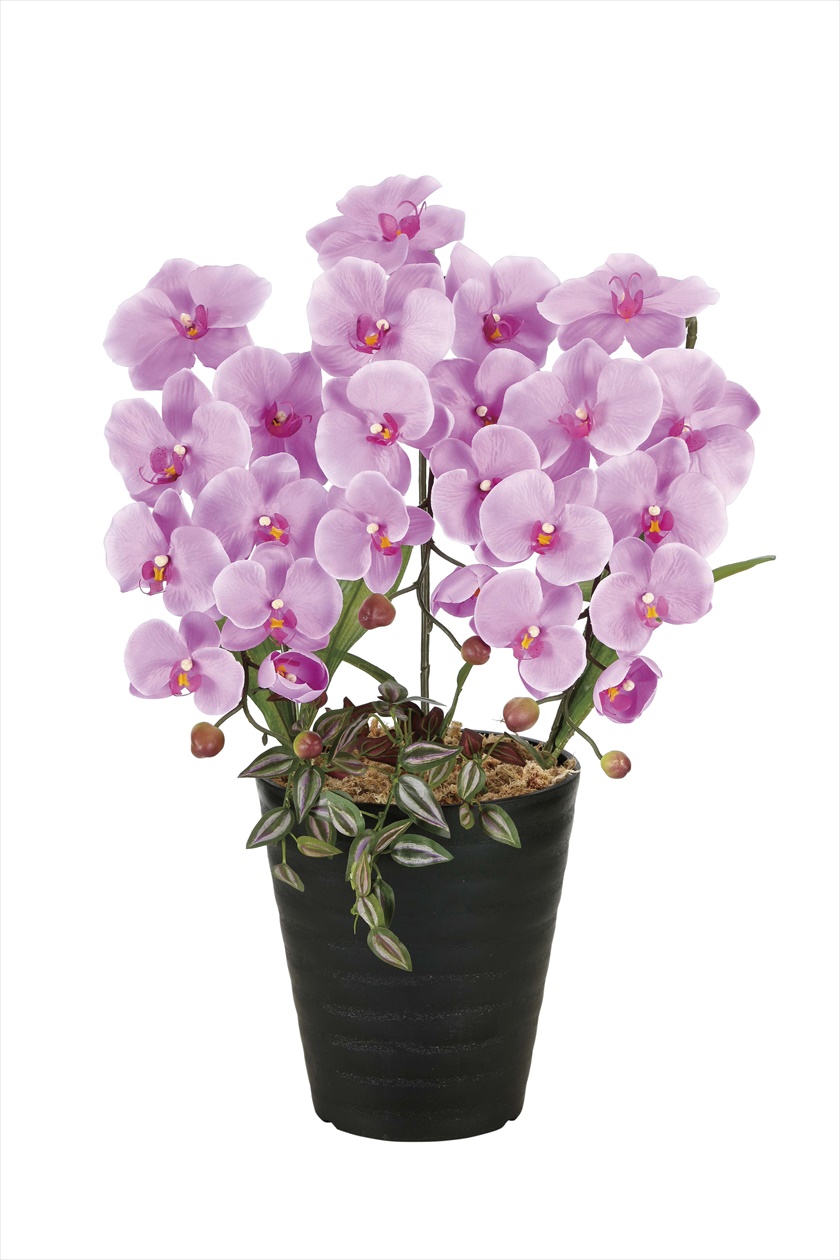 プリンセス胡蝶蘭L ※人工植物です。生花ではございません。