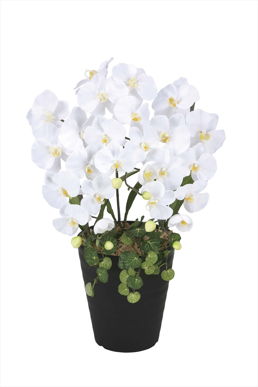 プリンセス胡蝶蘭W ※人工植物です。生花ではございません。