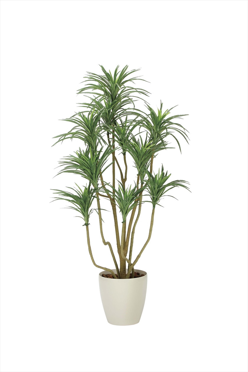 光の楽園 光触媒加工 人工観葉植物 幸福の木1.8m 401E400-37 - 観葉植物
