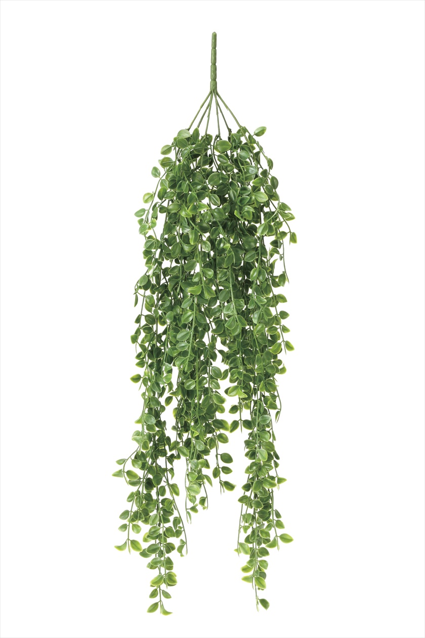 ﾃｨｰｸﾞﾗｽﾊﾞｲﾝ ※人工植物です。生花ではございません。