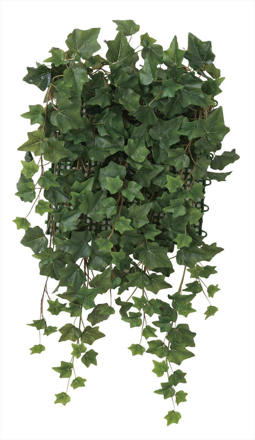 壁面緑化ｱｲﾋﾞ- ※人工植物です。生花ではございません。