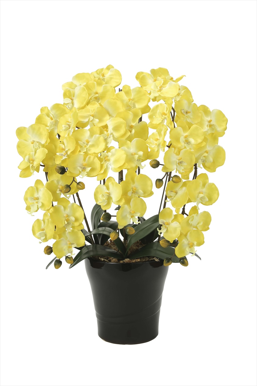 ｸｲ-ﾝ胡蝶蘭５本立Y ※人工植物です。生花ではございません。