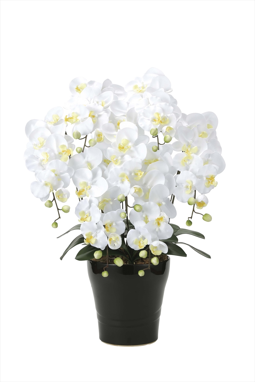 ｷﾝｸﾞ胡蝶蘭７本立W ※人工植物です。生花ではございません。