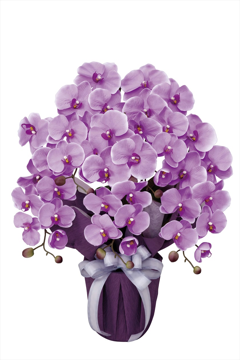 ｴﾚｶﾞﾝﾄ胡蝶蘭5本立L ※人工植物です。生花ではございません。