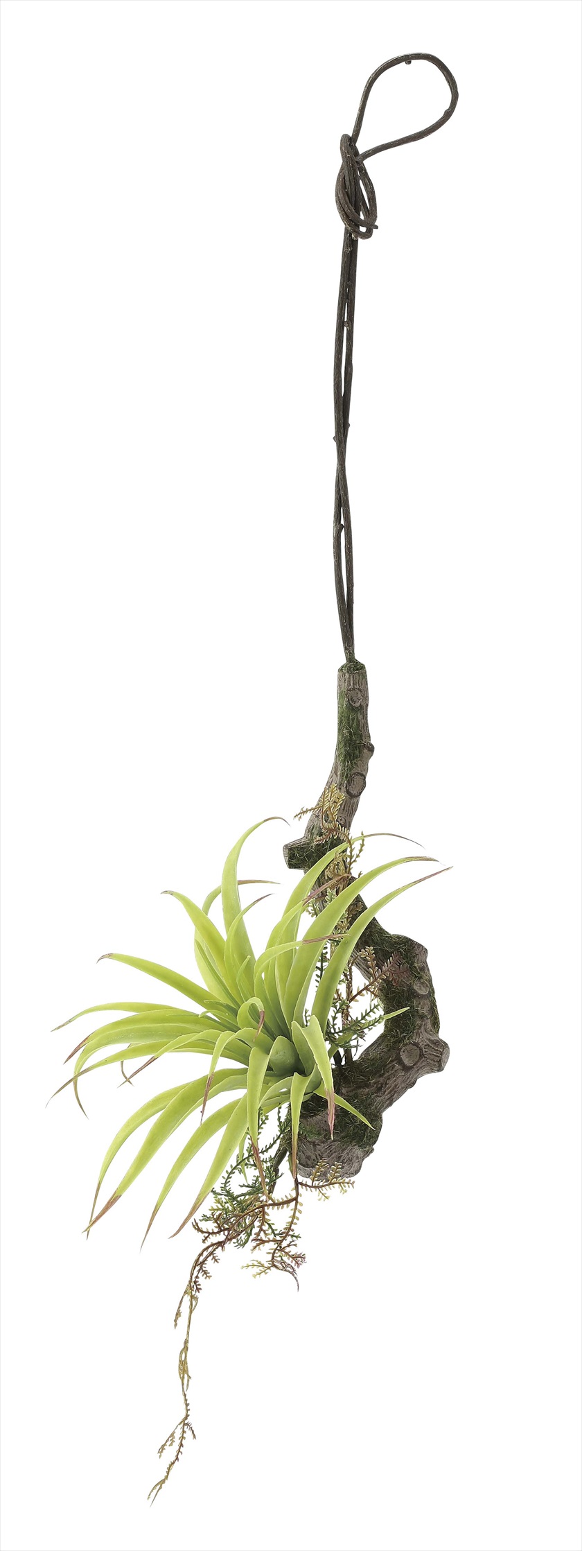 ｴｱ-ﾌﾟﾗﾝﾂS（ﾎﾟﾘ製） ※人工植物です。生花ではございません。