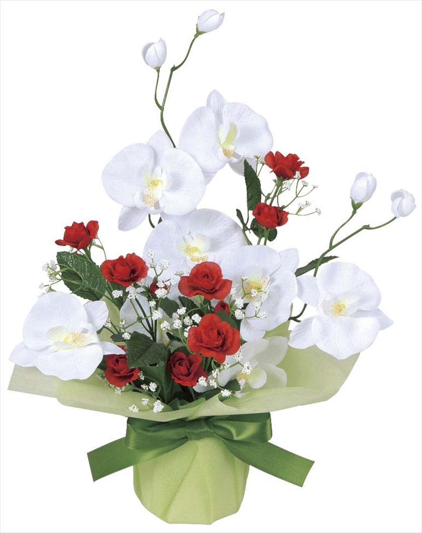 ﾌﾞﾗｲﾄｺﾁｮｳﾗﾝ ※人工植物です。生花ではございません。