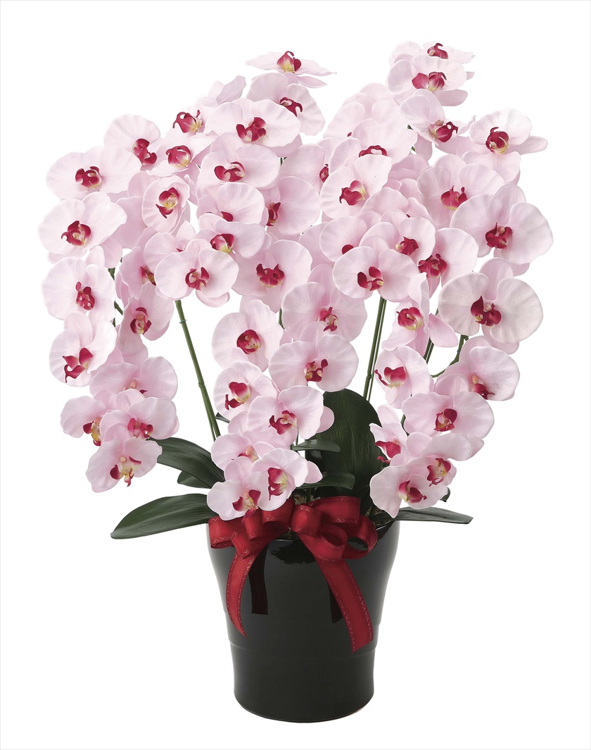 ﾌﾟﾚﾐｱﾑ胡蝶蘭5本立P ※人工植物です。生花ではございません。