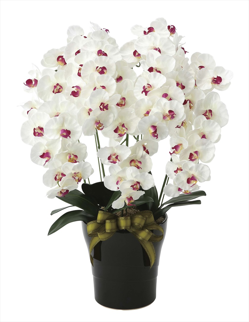 ﾌﾟﾚﾐｱﾑ胡蝶蘭5本立W/AB ※人工植物です。生花ではございません。