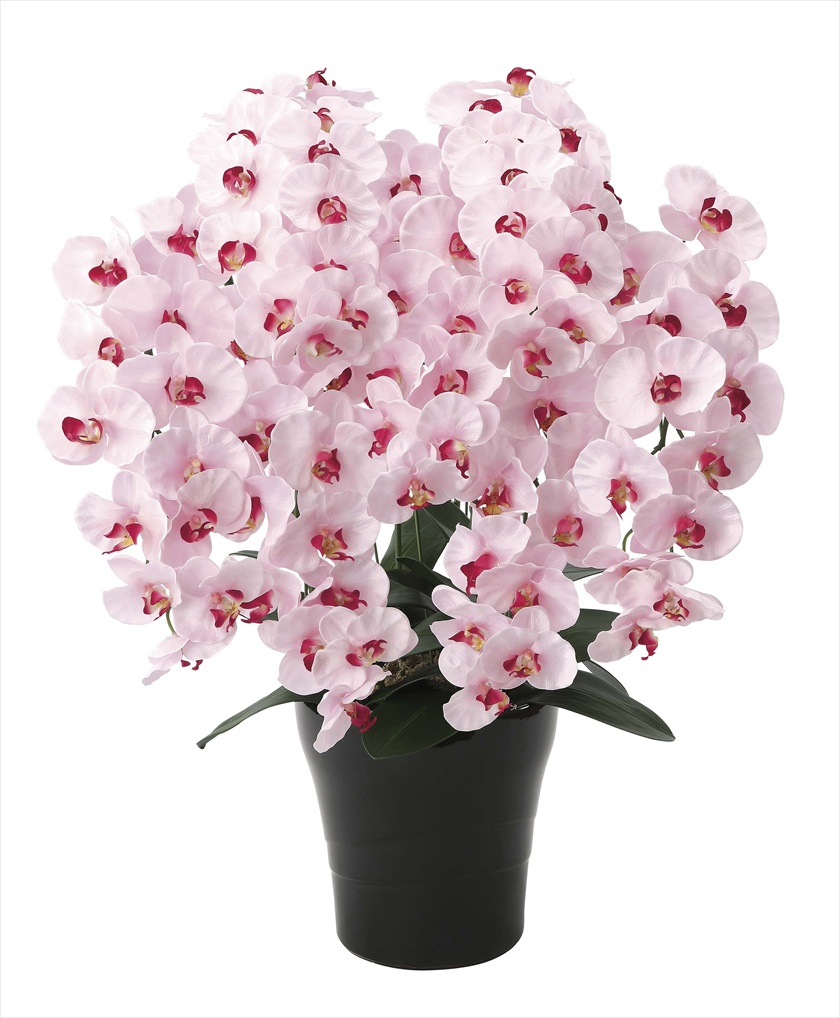 ﾌﾟﾚﾐｱﾑ胡蝶蘭7本立P ※人工植物です。生花ではございません。