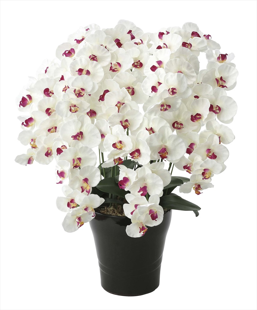 ﾌﾟﾚﾐｱﾑ胡蝶蘭7本立W/AB ※人工植物です。生花ではございません。