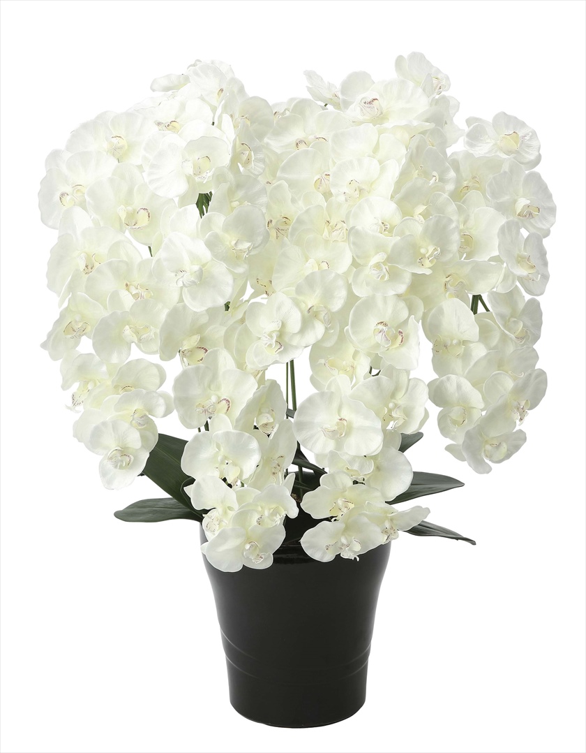 ﾌﾟﾚﾐｱﾑ胡蝶蘭7本立W ※人工植物です。生花ではございません。