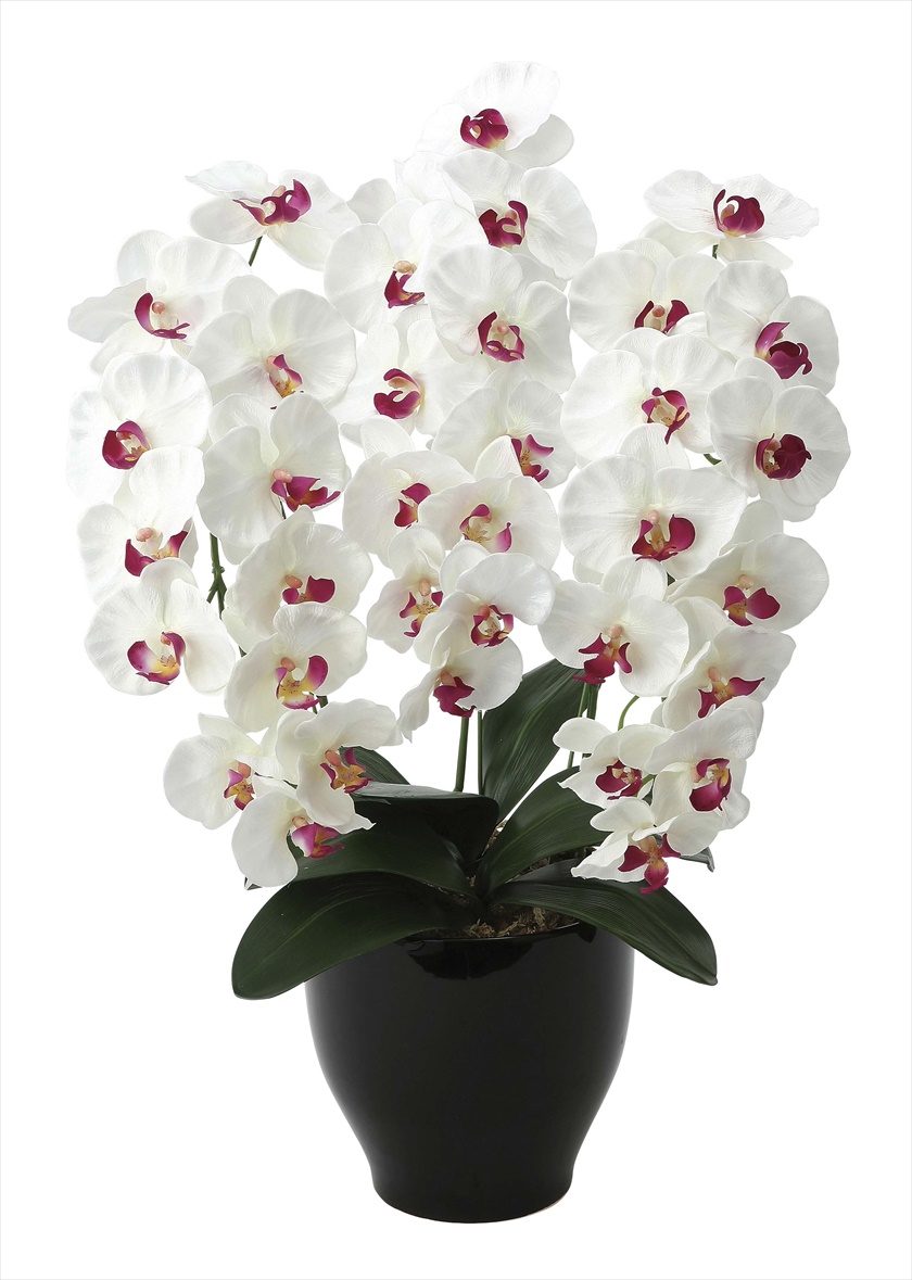 ﾌﾟﾚﾐｱﾑ胡蝶蘭W/AB ※人工植物です。生花ではございません。