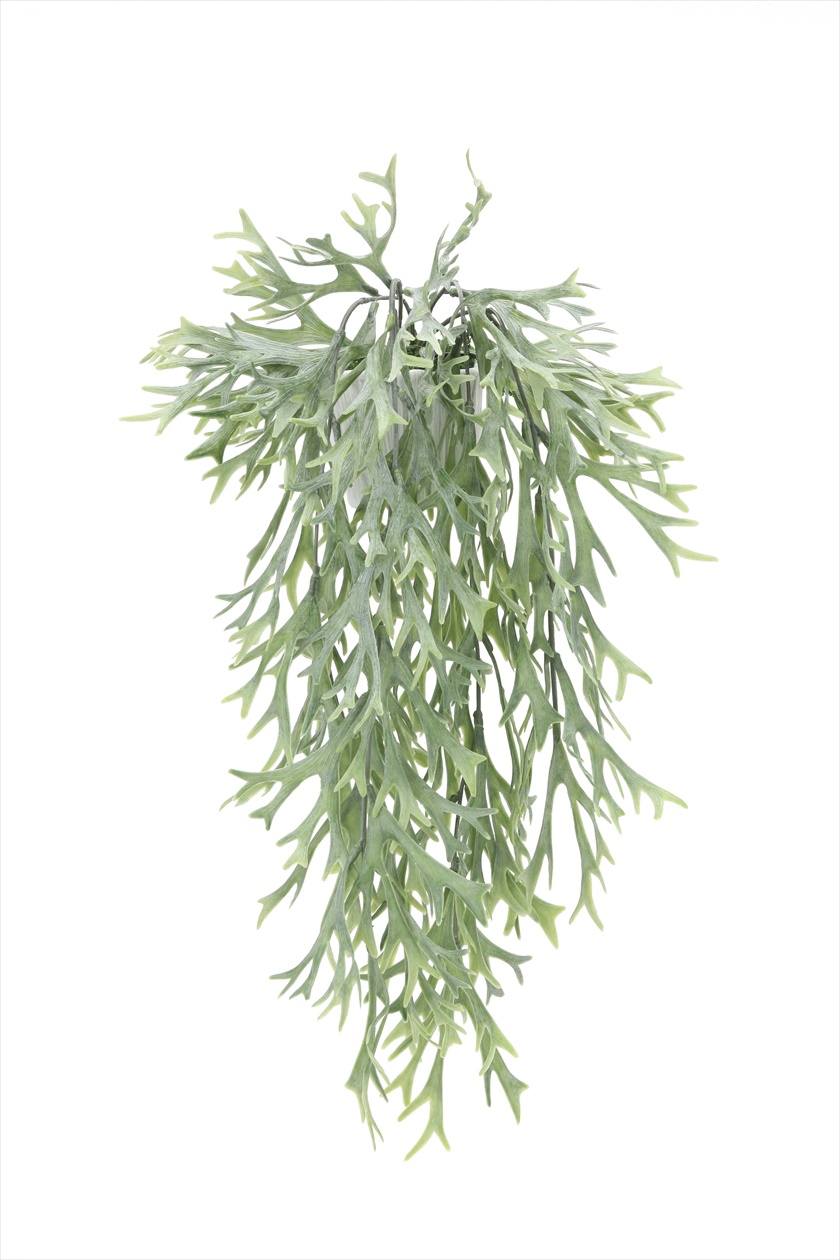 壁掛けｽﾀｯｸﾞﾎｰﾝ(ﾎﾟﾘ製） ※人工植物です。生花ではございません。