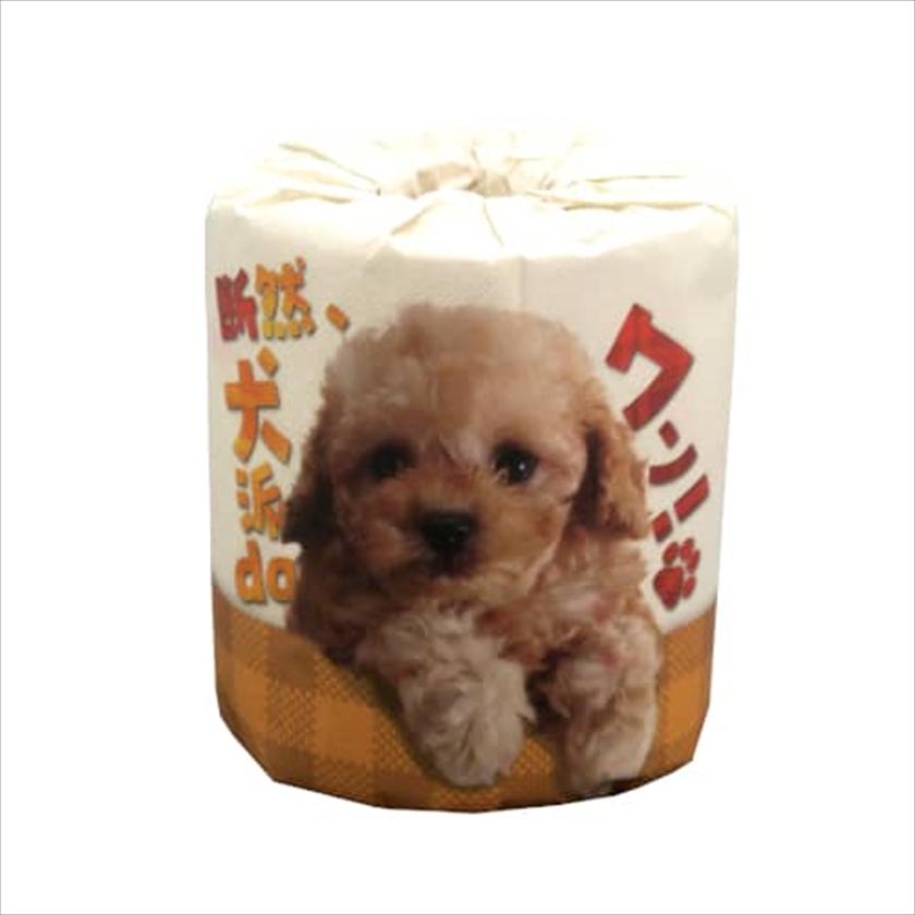 断然、犬派daワン！　1R