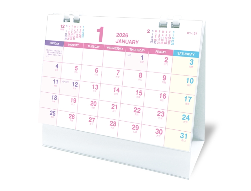 プラリングＢ６