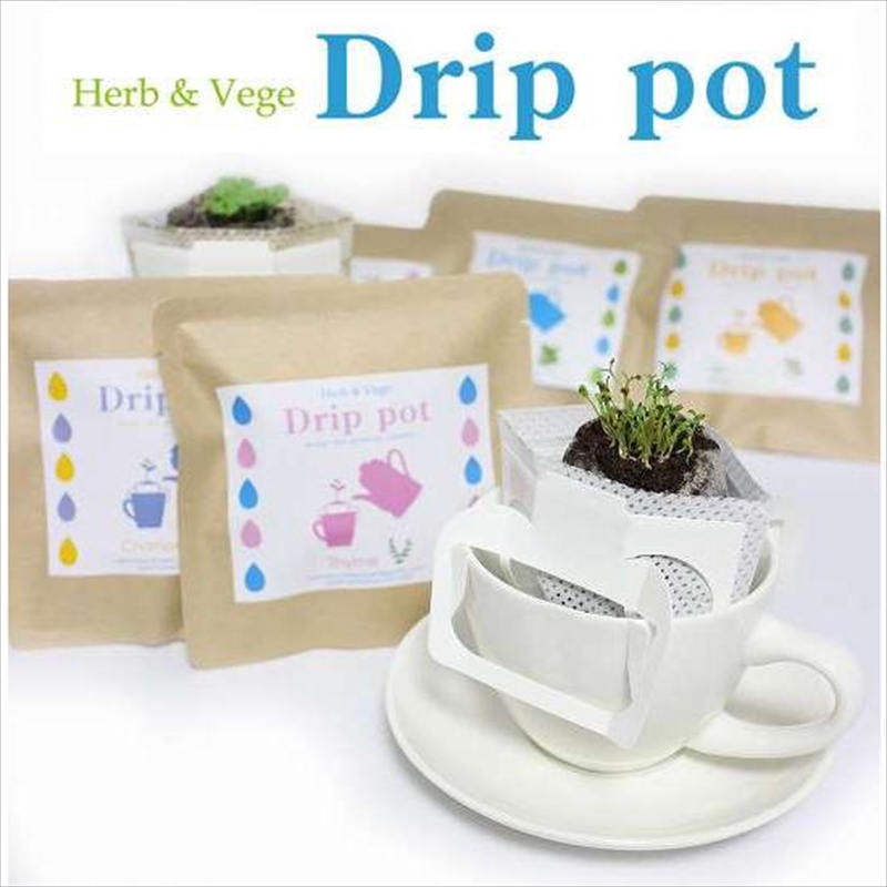 ドリップポット