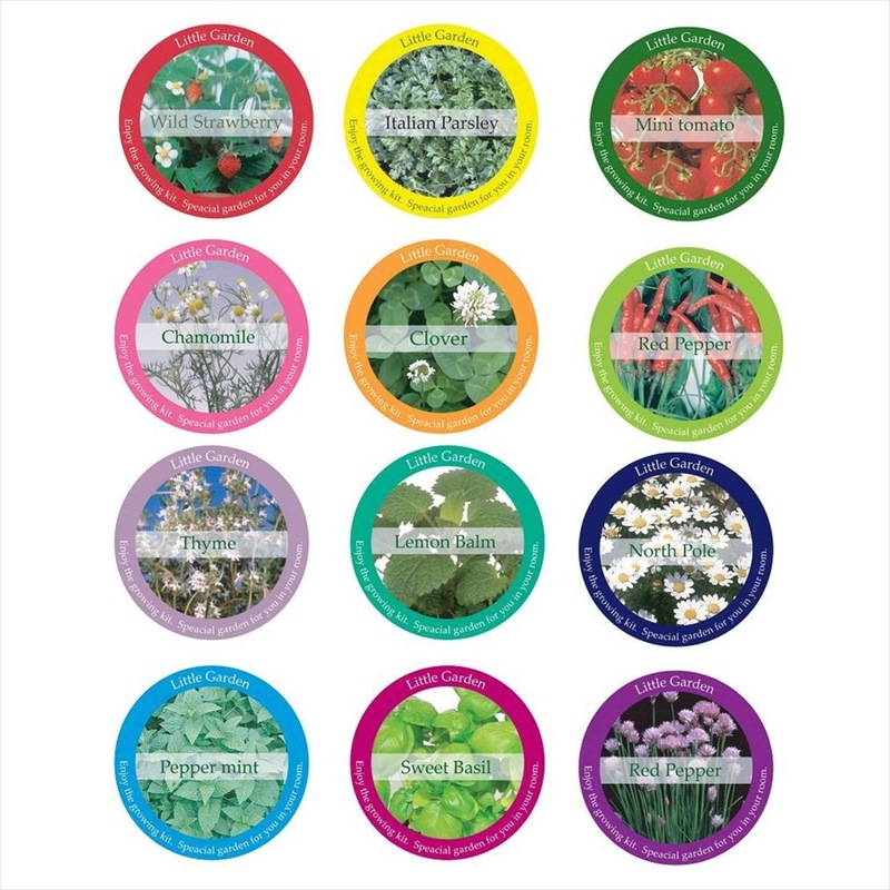 newリトルガーデン