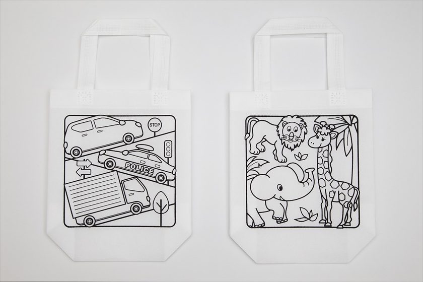 ぬりエコバックＢ