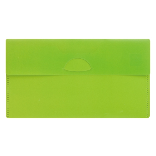 カラモ 抗菌マスクケース(マスク1枚付き)ライトグリーン