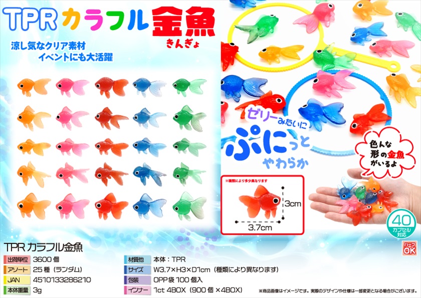金魚 金魚王子】シルク朱文金 9±1cm前後 (個体番号：cde545) 金魚 きんぎょ