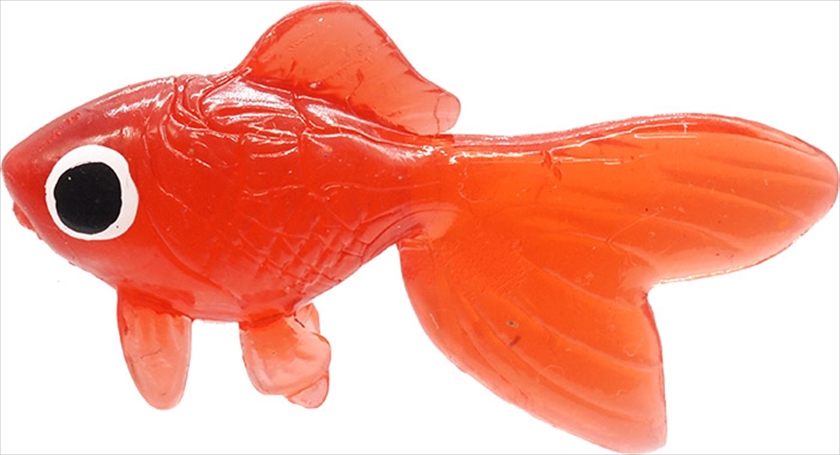TPRカラフル金魚｜ノベルティ・販促品・記念品・名入れグッズの景品広場