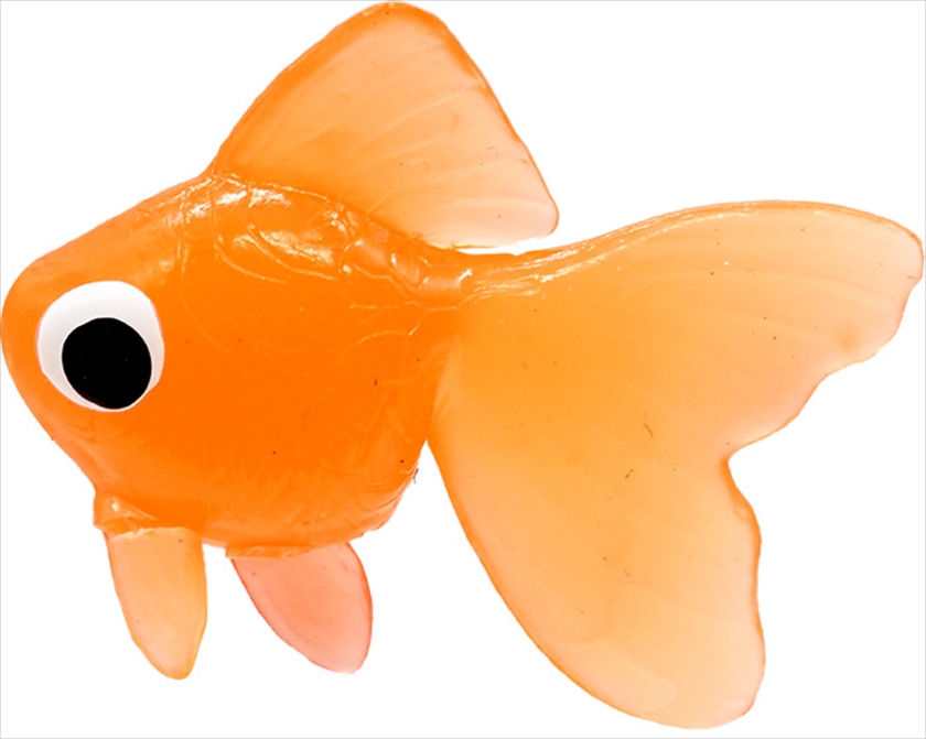 TPRカラフル金魚｜ノベルティ・販促品・記念品・名入れグッズの景品広場