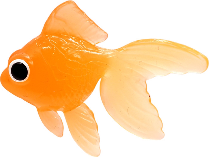 TPRカラフル金魚｜ノベルティ・販促品・記念品・名入れグッズの景品広場