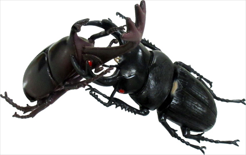 backyardMonsters1994レア 巨大昆虫 フィギュア 4種類 Amazon.co.jp: BIG カブトムシ 昆虫 フィギュア MEGA 特大