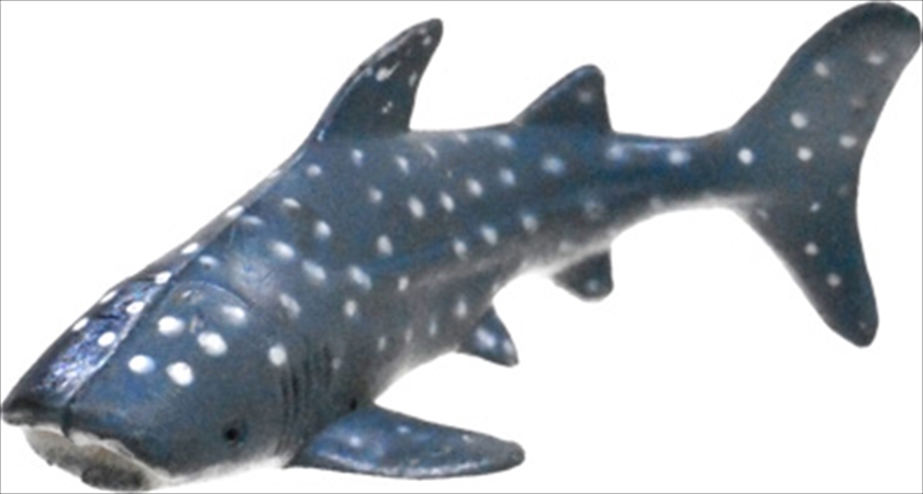 海洋生物フィギュアコレクションⅡ｜ノベルティ・販促品・記念品・名