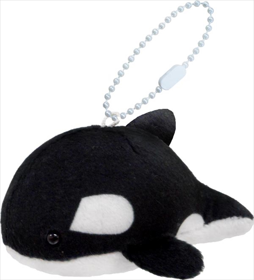 人気の海の動物ぬいぐるみマスコットBCⅢ｜ノベルティ・販促品・記念品