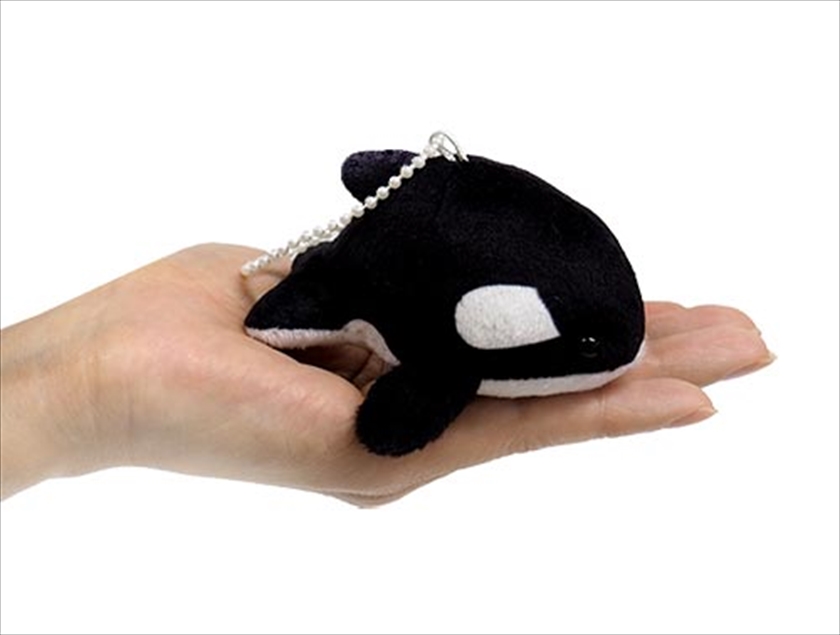 【正規品】babythree ぬいぐるみ　海の生き物 71ioIpUA1EL._UF350,350_QL50_.jpg