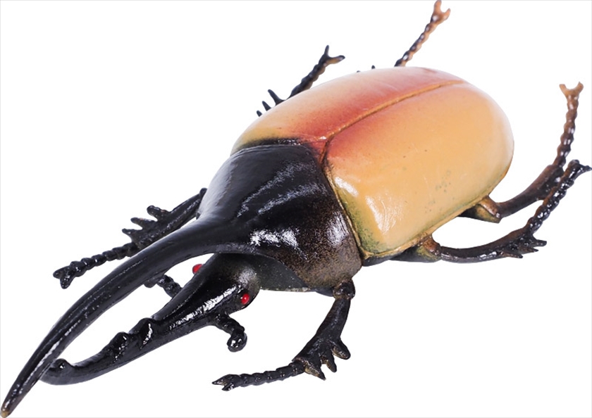 昆虫フィギュアコレクションⅡ｜ノベルティ・販促品・記念品・名入れ